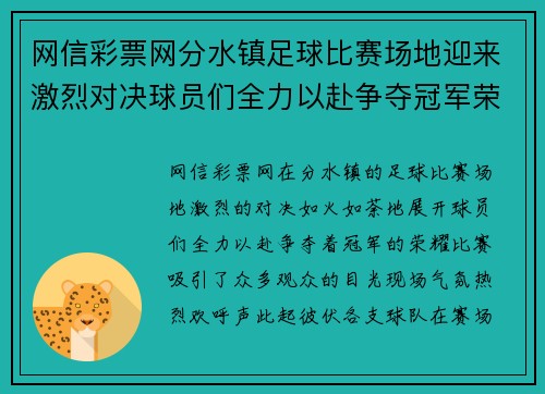 网信彩票网分水镇足球比赛场地迎来激烈对决球员们全力以赴争夺冠军荣耀