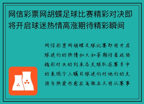 网信彩票网胡蝶足球比赛精彩对决即将开启球迷热情高涨期待精彩瞬间