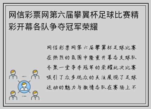 网信彩票网第六届攀翼杯足球比赛精彩开幕各队争夺冠军荣耀