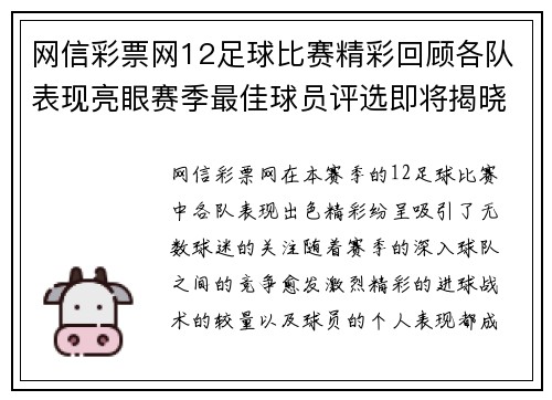 网信彩票网12足球比赛精彩回顾各队表现亮眼赛季最佳球员评选即将揭晓