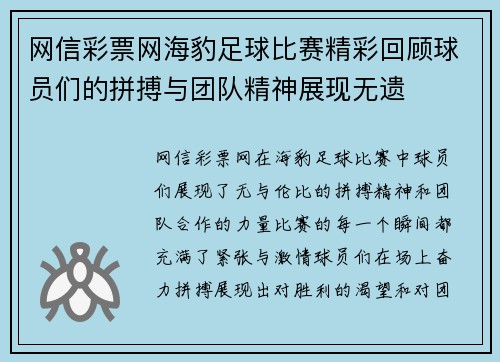 网信彩票网海豹足球比赛精彩回顾球员们的拼搏与团队精神展现无遗