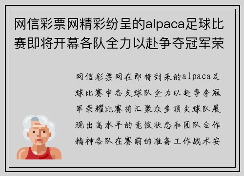 网信彩票网精彩纷呈的alpaca足球比赛即将开幕各队全力以赴争夺冠军荣耀
